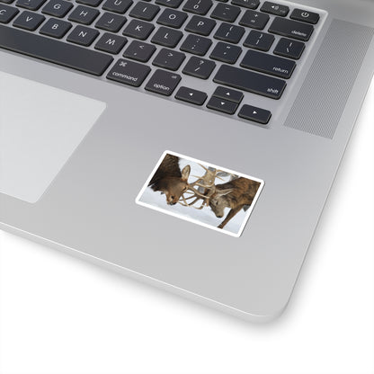 Deer Antler Clash Sticker — Wildlife Photography Kiss-Cut Decal