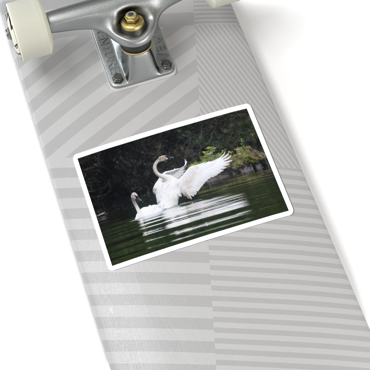 Swan Pair Kiss-Cut Sticker — Elegant White Swans on Lake Waterproof Decal