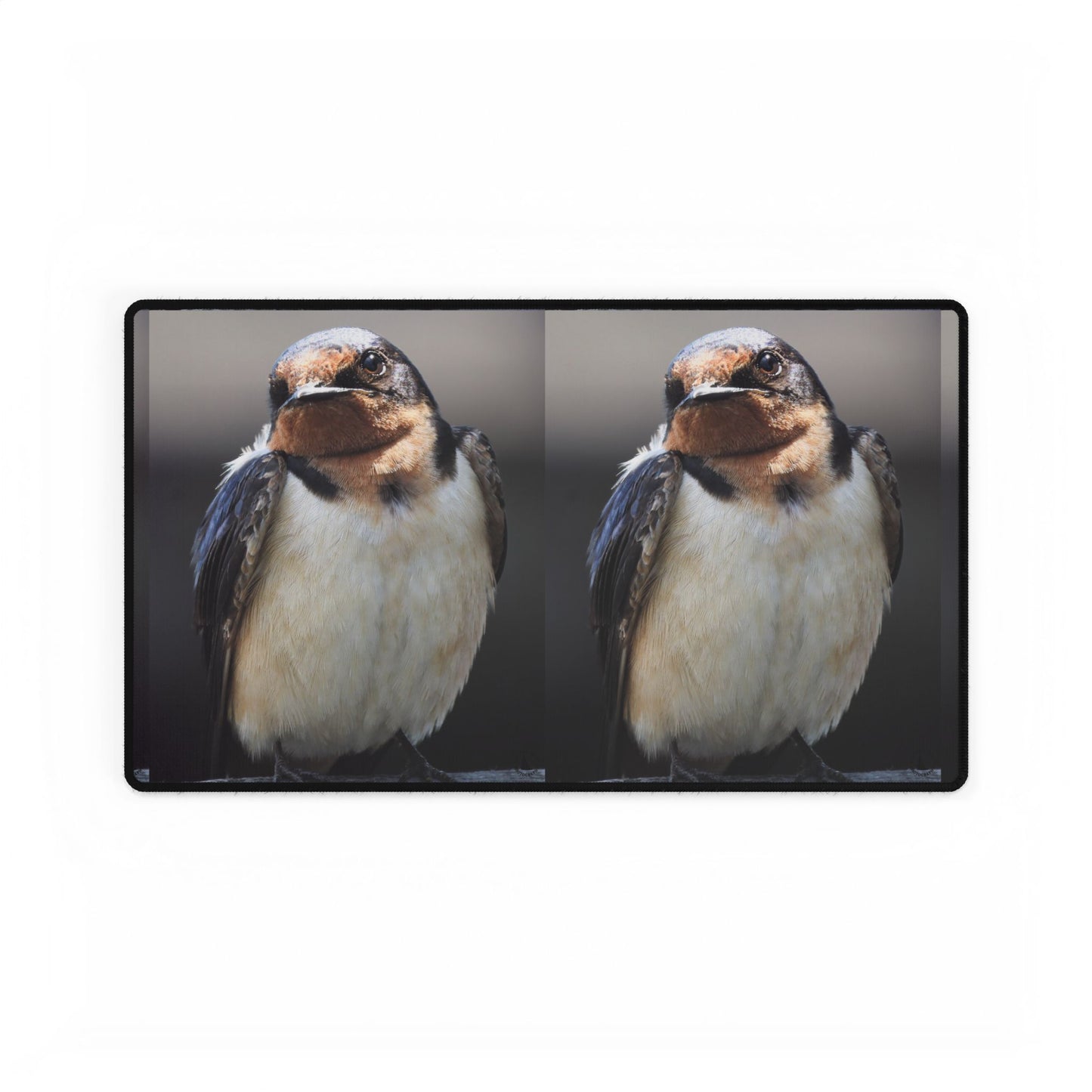 Barn Swallow Desk Mat — Large Bird Photography Mouse Pad for Home Office