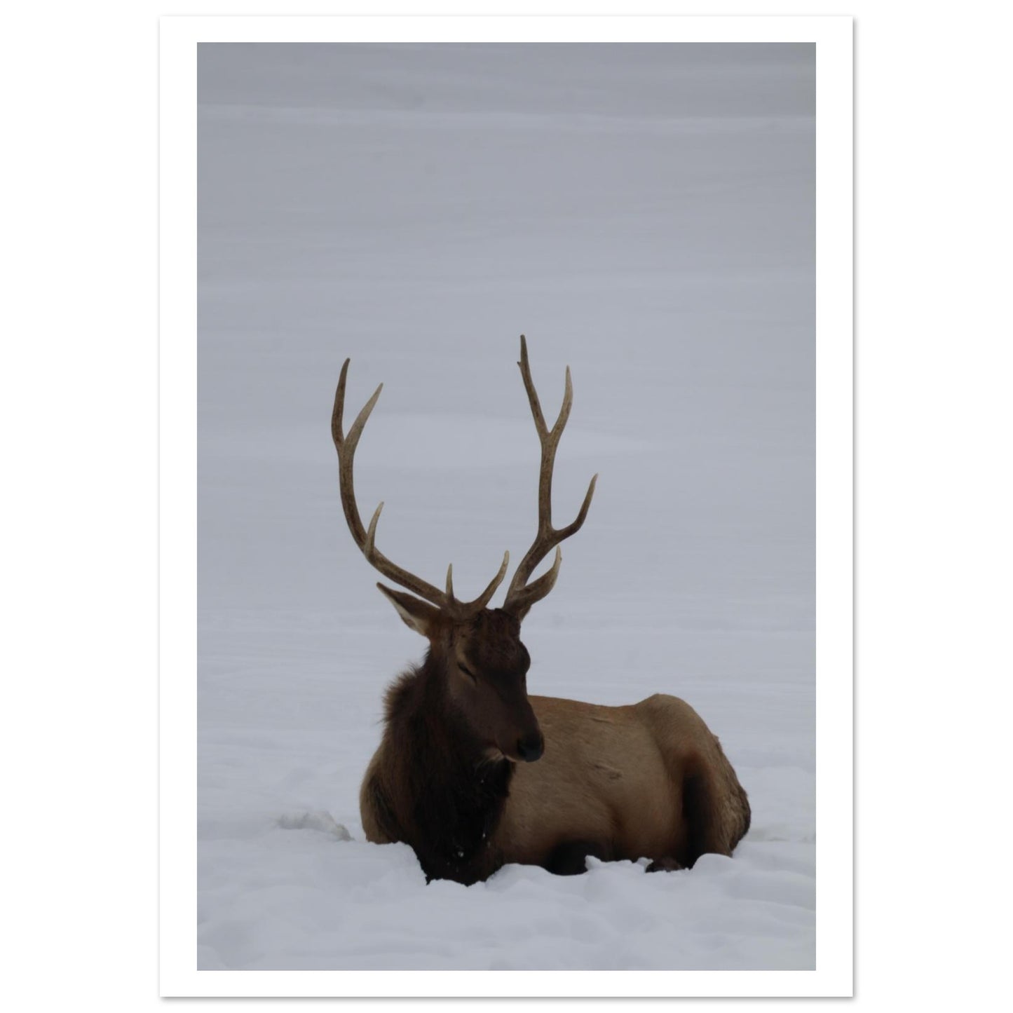 9188228b-1a7d-4745-babc-643907258812