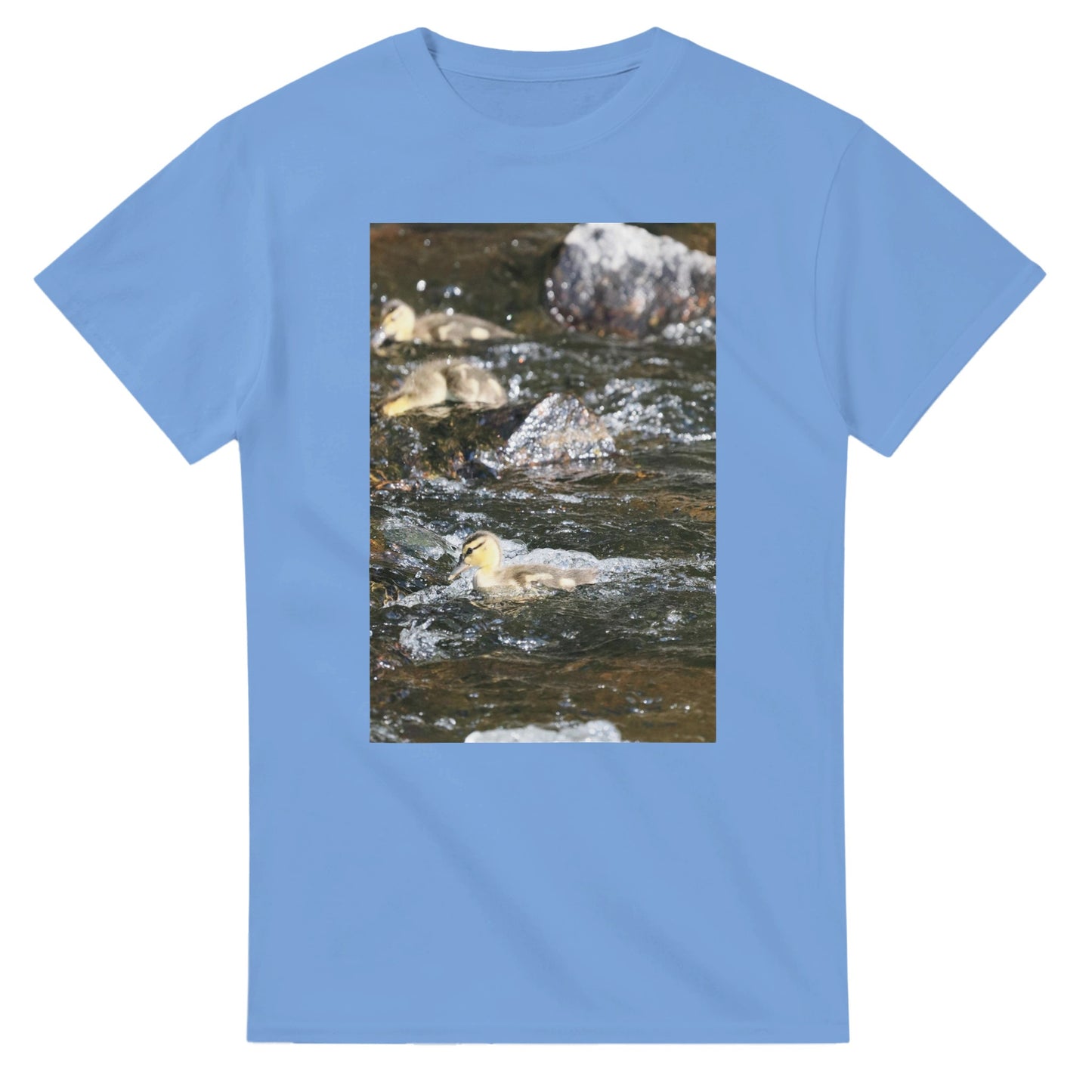 91a72a44-7e98-4641-99bb-e8888bc3d2df