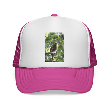 Bird Photography Trucker Cap – Perched Owl Nature Hat