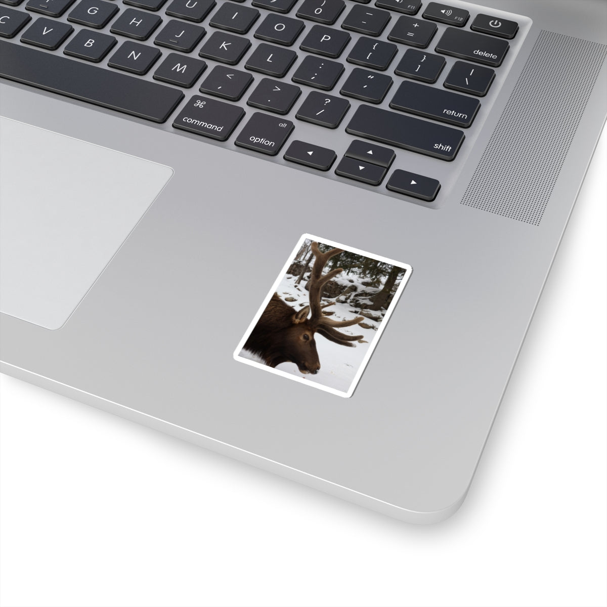 Elk Antler Photo Sticker – Winter Wildlife Kiss-Cut Sticker