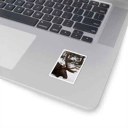 Elk Antler Photo Sticker – Winter Wildlife Kiss-Cut Sticker