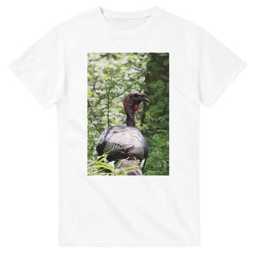 923f4128-a253-481b-b59f-3dad2c3df645