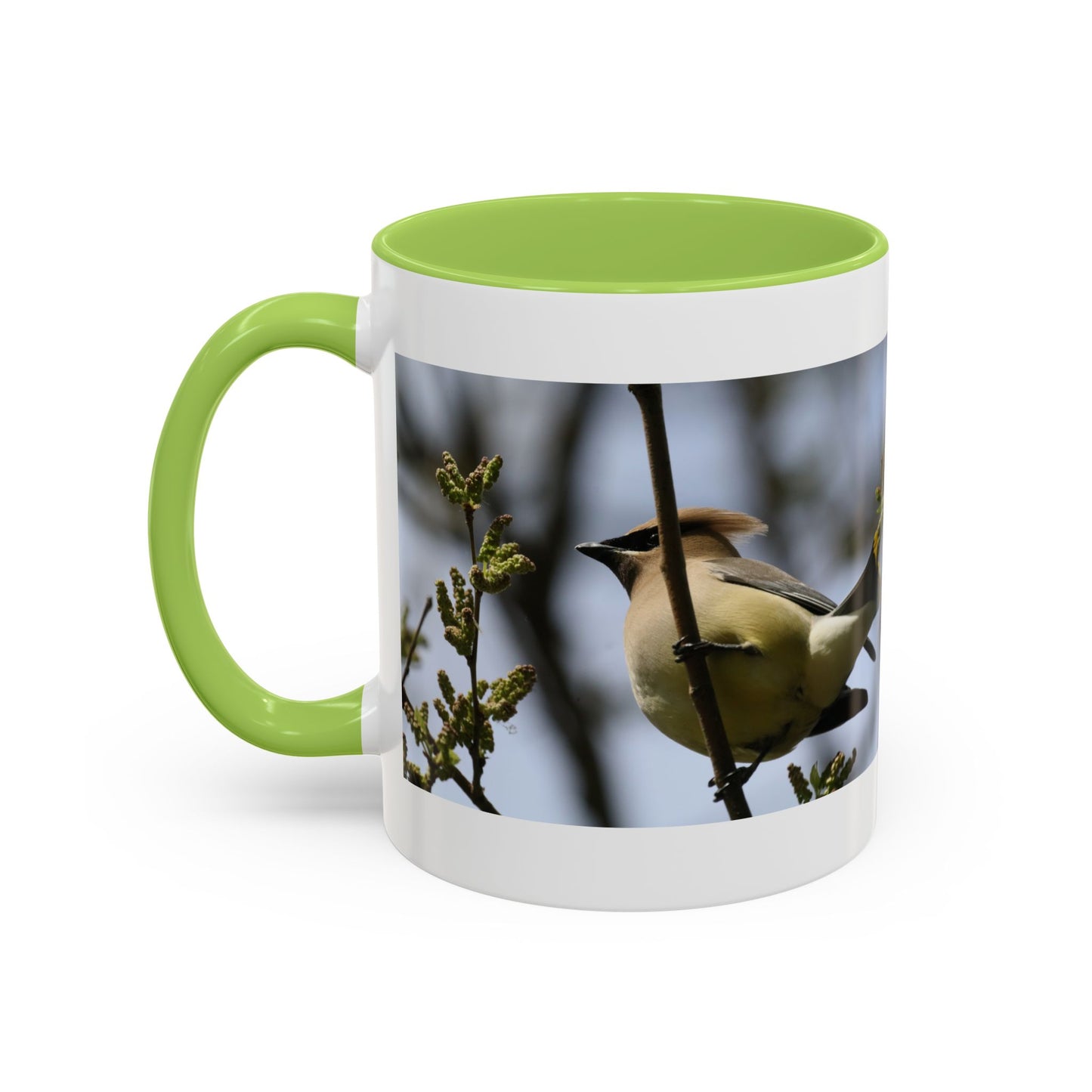 Cedar Waxwing Bird Photo Accent Coffee Mug