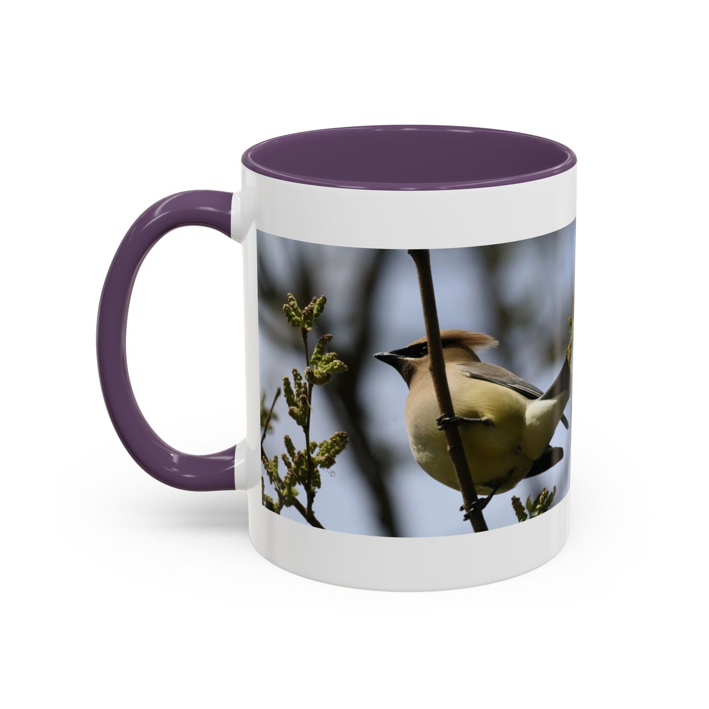 Cedar Waxwing Bird Photo Accent Coffee Mug