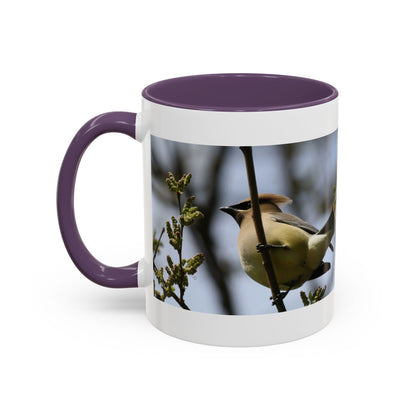 Cedar Waxwing Bird Photo Accent Coffee Mug