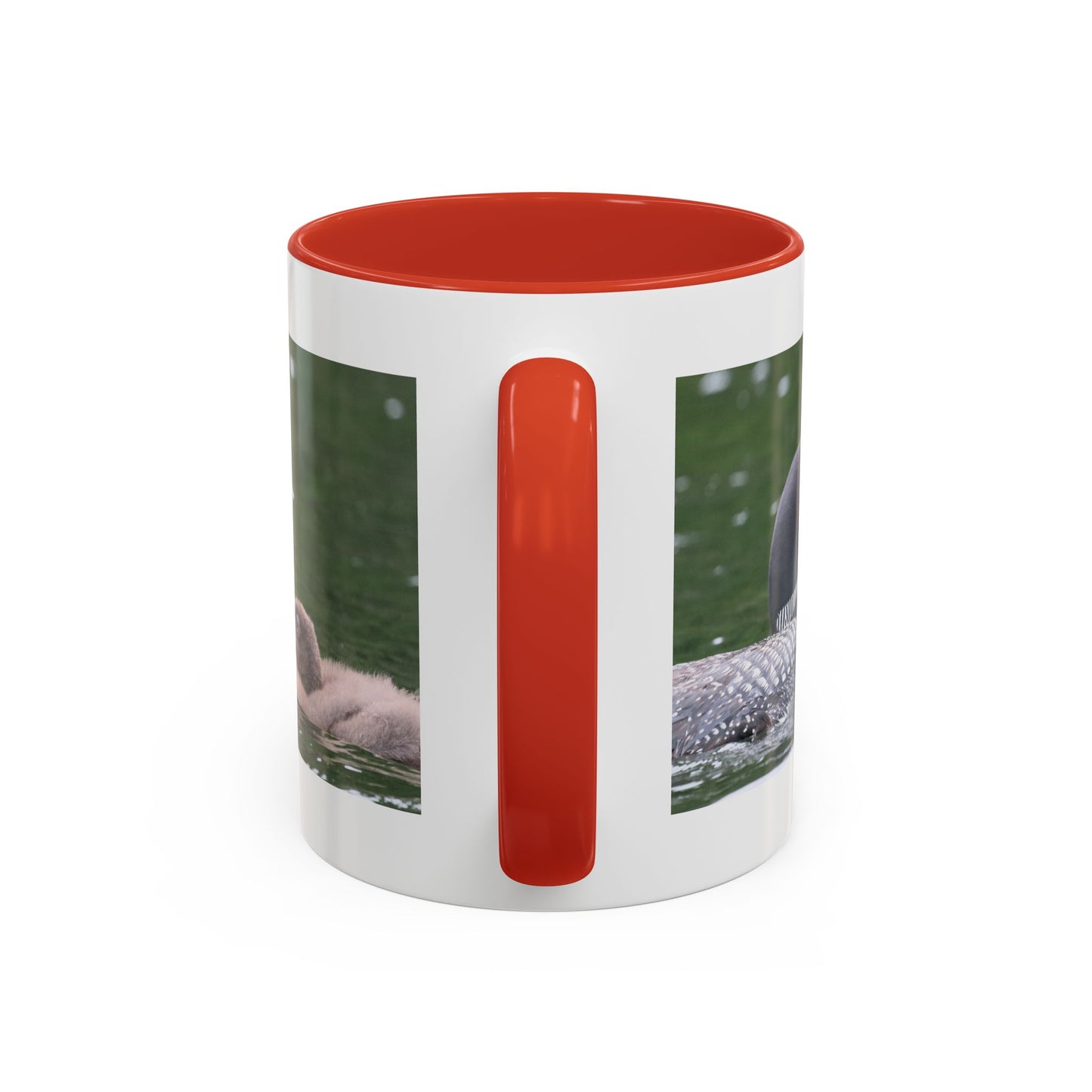 Loon Family Accent Coffee Mug – Wildlife Photo Tea Mug (11/15 oz)
