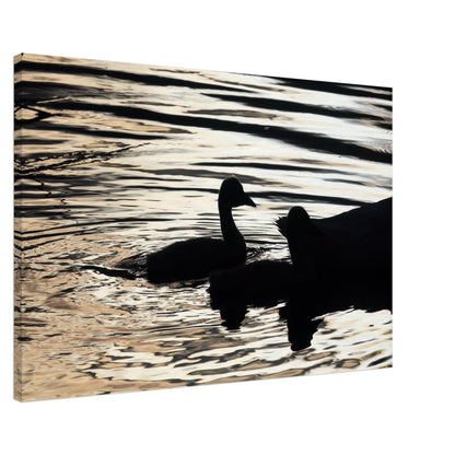 92700ab2-bd7f-41e2-bbe8-3715142dc44f