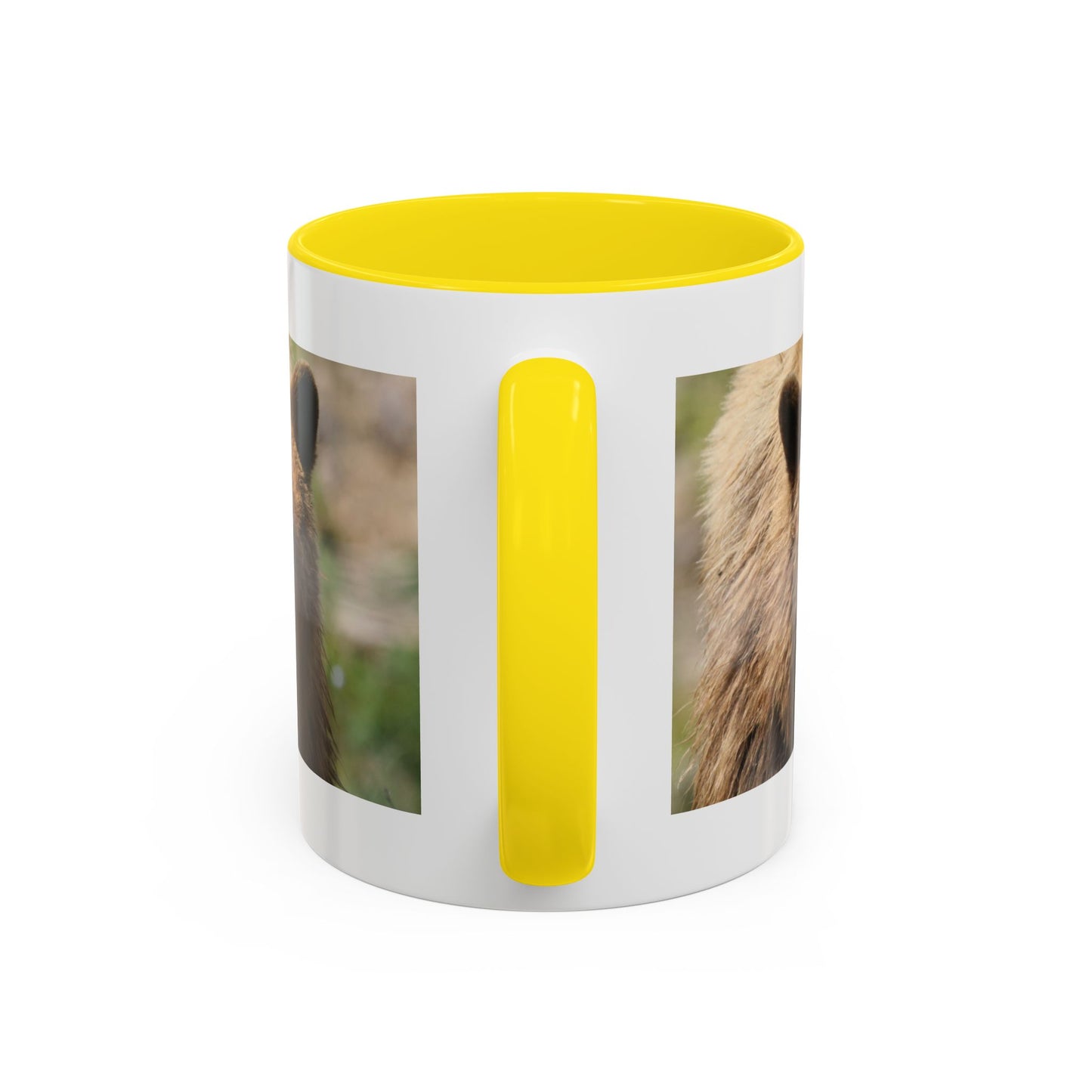 Funny Brown Bear Photo Accent Coffee Mug (11/15 oz)