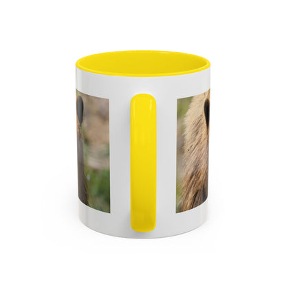 Funny Brown Bear Photo Accent Coffee Mug (11/15 oz)