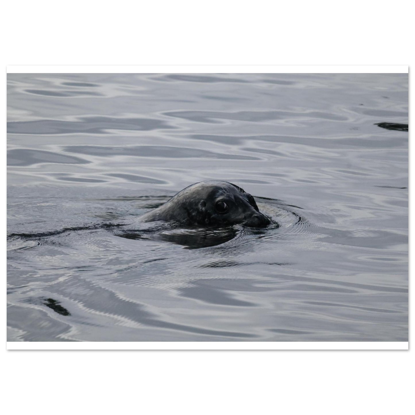 92e40ea9-ba1f-4d4a-a034-684626ba3d86