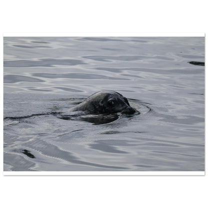 92e40ea9-ba1f-4d4a-a034-684626ba3d86