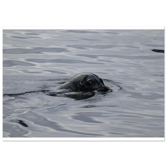 92e40ea9-ba1f-4d4a-a034-684626ba3d86