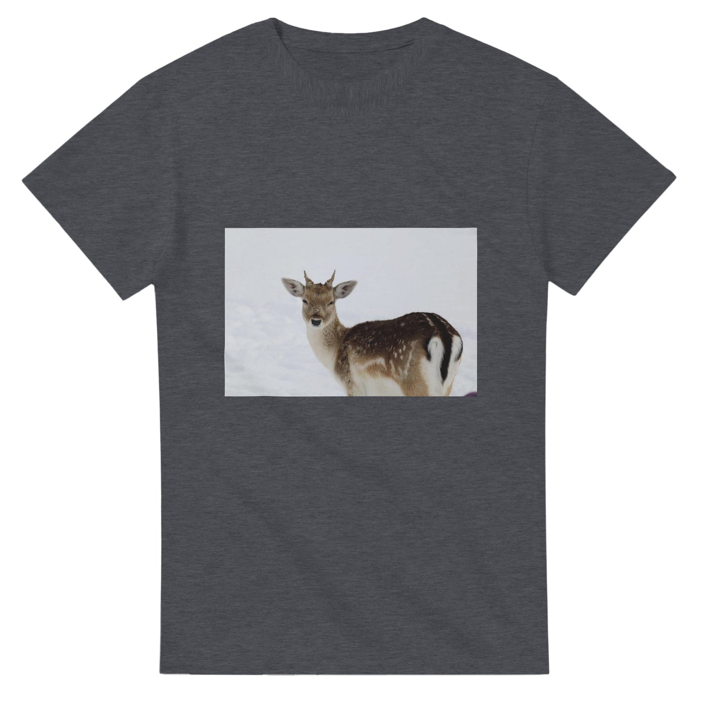 92f61917-ecc8-4a58-b9a6-7b2c968e6711