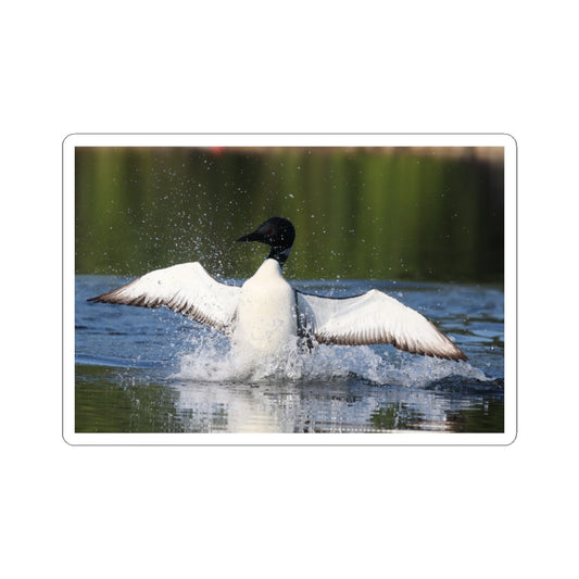 Common Loon Kiss-Cut Sticker — Splashing Loon Lake Scene