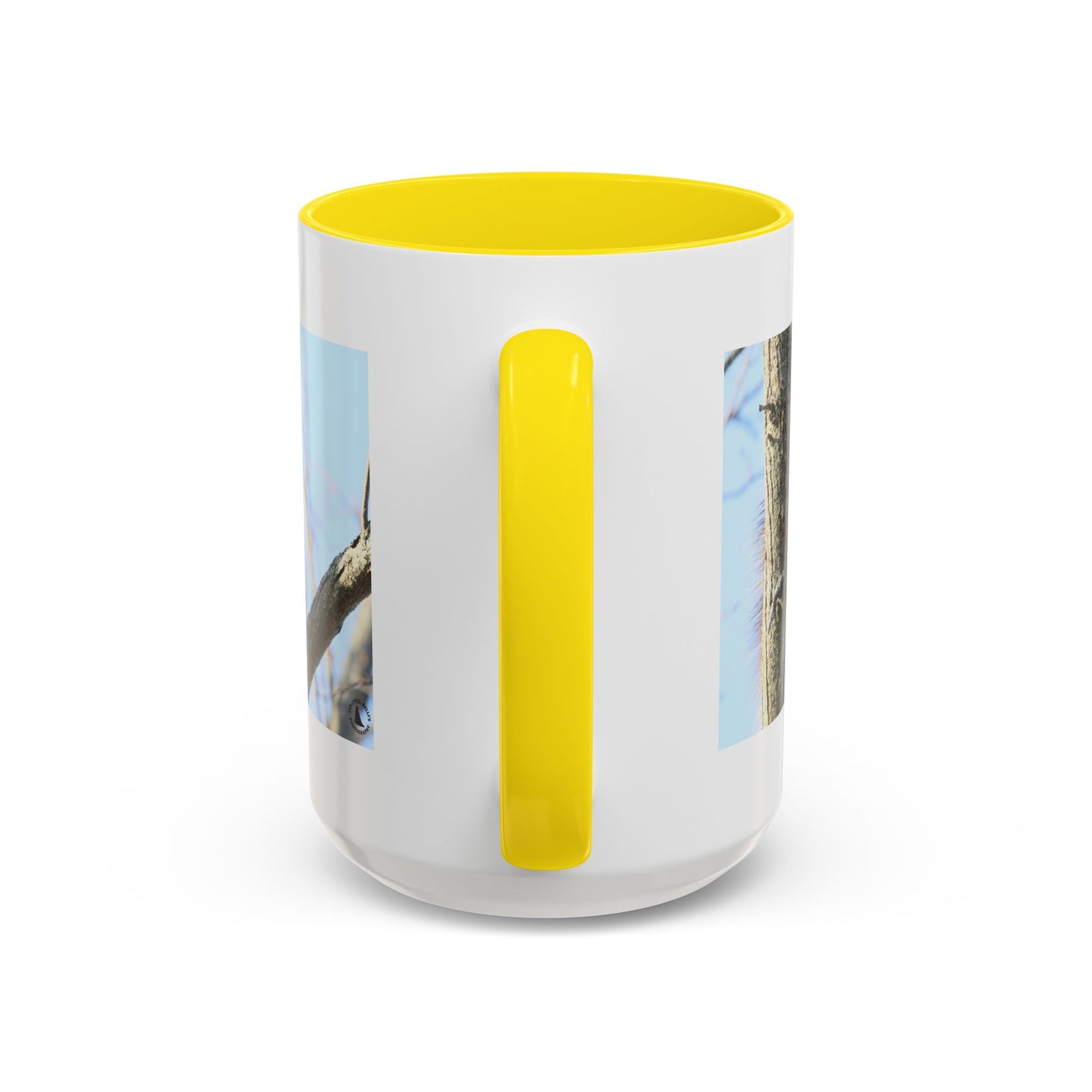 Porcupine Photo Accent Coffee Mug — Wildlife Nature Lover Gift (11/15oz)