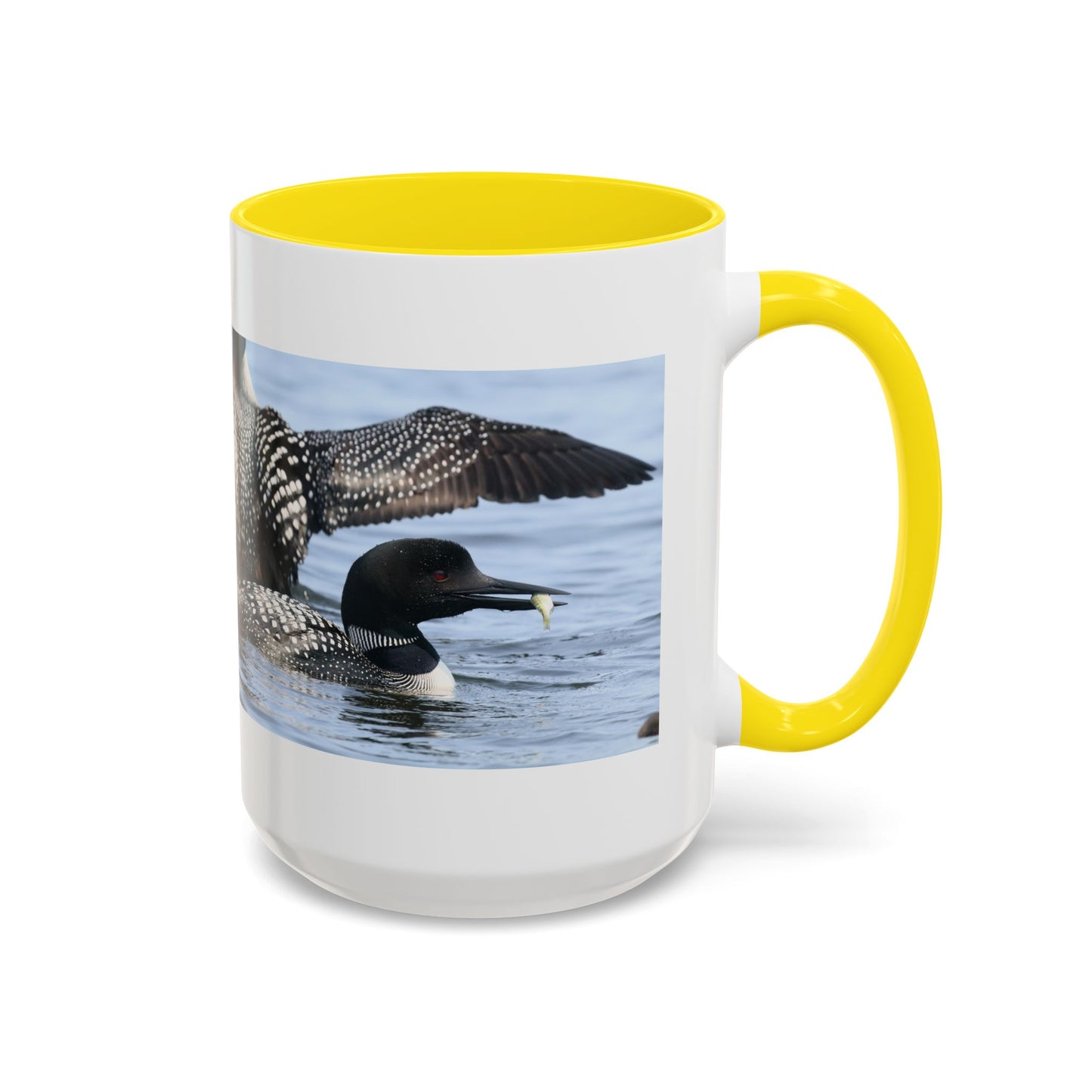 Common Loon Accent Coffee Mug – Wildlife Photography Bird Lover Gift (11/15oz)