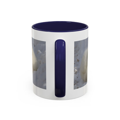 Arctic Fox Photo Accent Coffee Mug – Winter Wildlife Ceramic Mug (11/15oz)