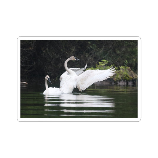 Swan Pair Kiss-Cut Sticker — Elegant White Swans on Lake Waterproof Decal