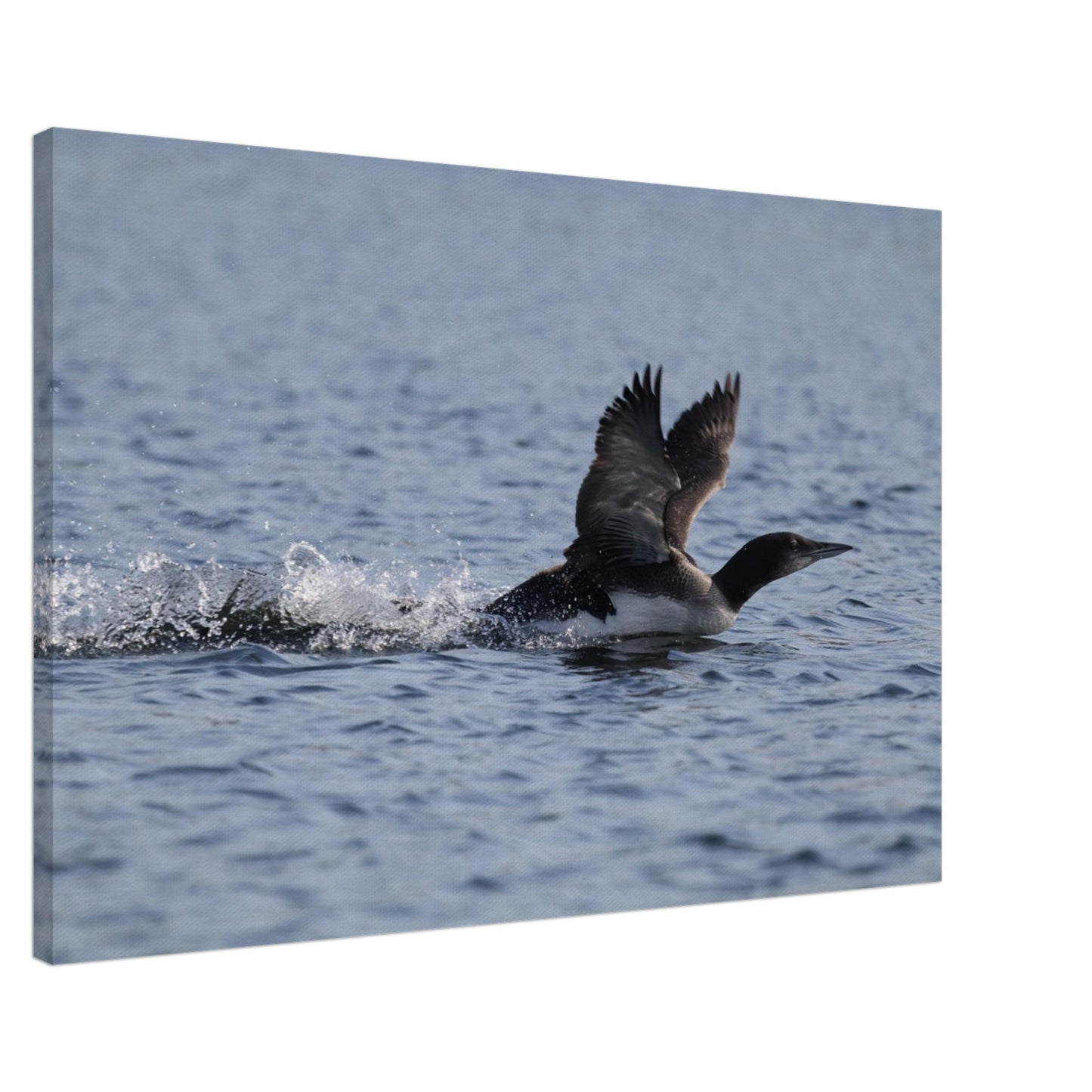 9393e9fa-9b63-4cbc-a0ec-92bcdccdbc9f