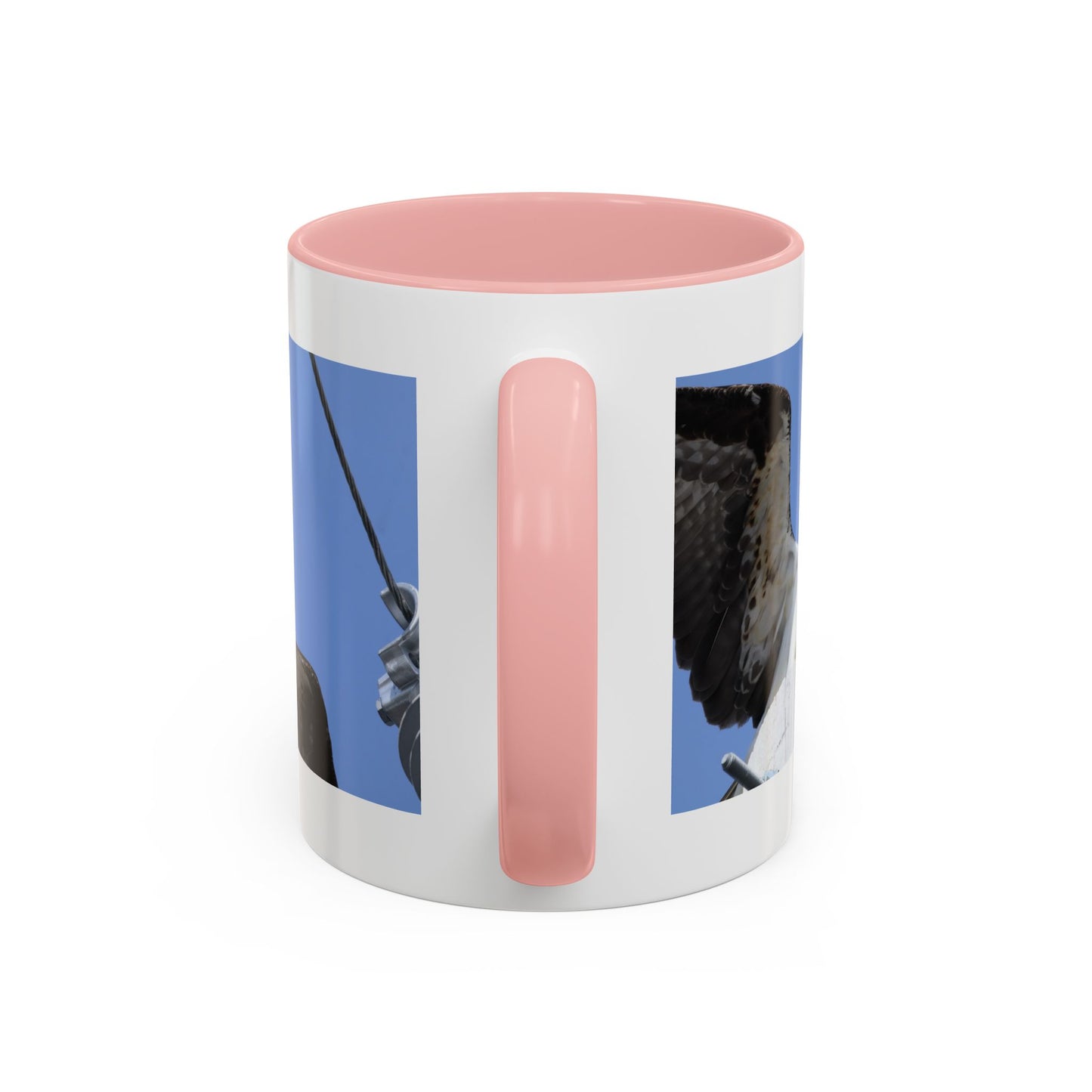 Osprey Photo Accent Coffee Mug – Wildlife Bird Photography Drinkware (11/15 oz)