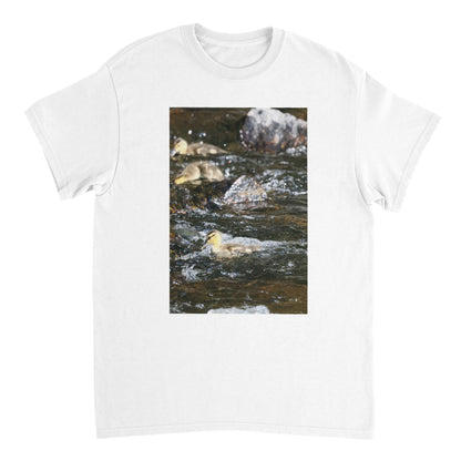 93cb5054-3588-41a3-8e04-1cc5c9cb476c