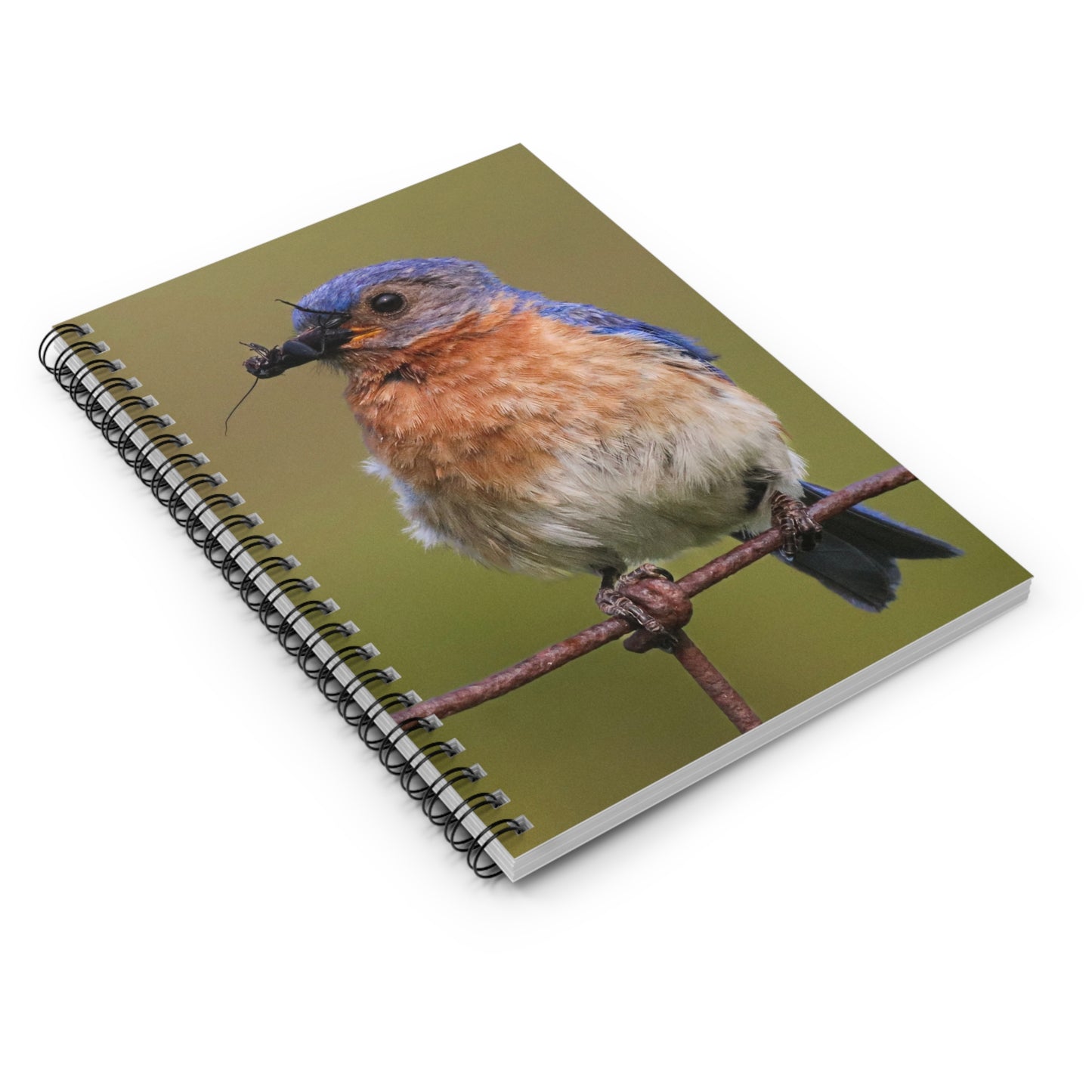 Eastern Bluebird Photo Spiral Notebook — Ruled Journal for Bird Lovers & Nature Observers