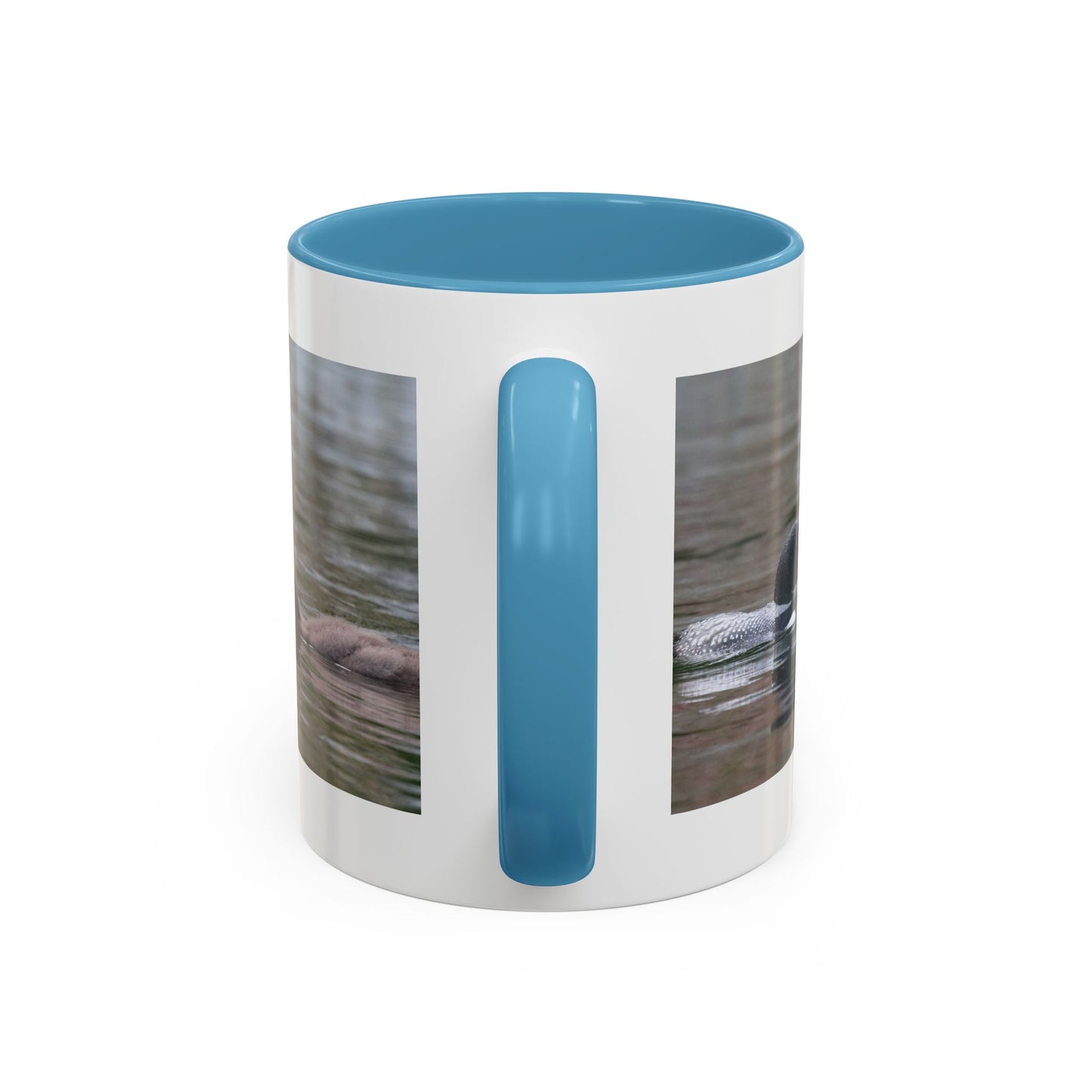 Bufflehead Duck Photo Accent Coffee Mug — Nature Lover Wildlife Gift (11/15oz)