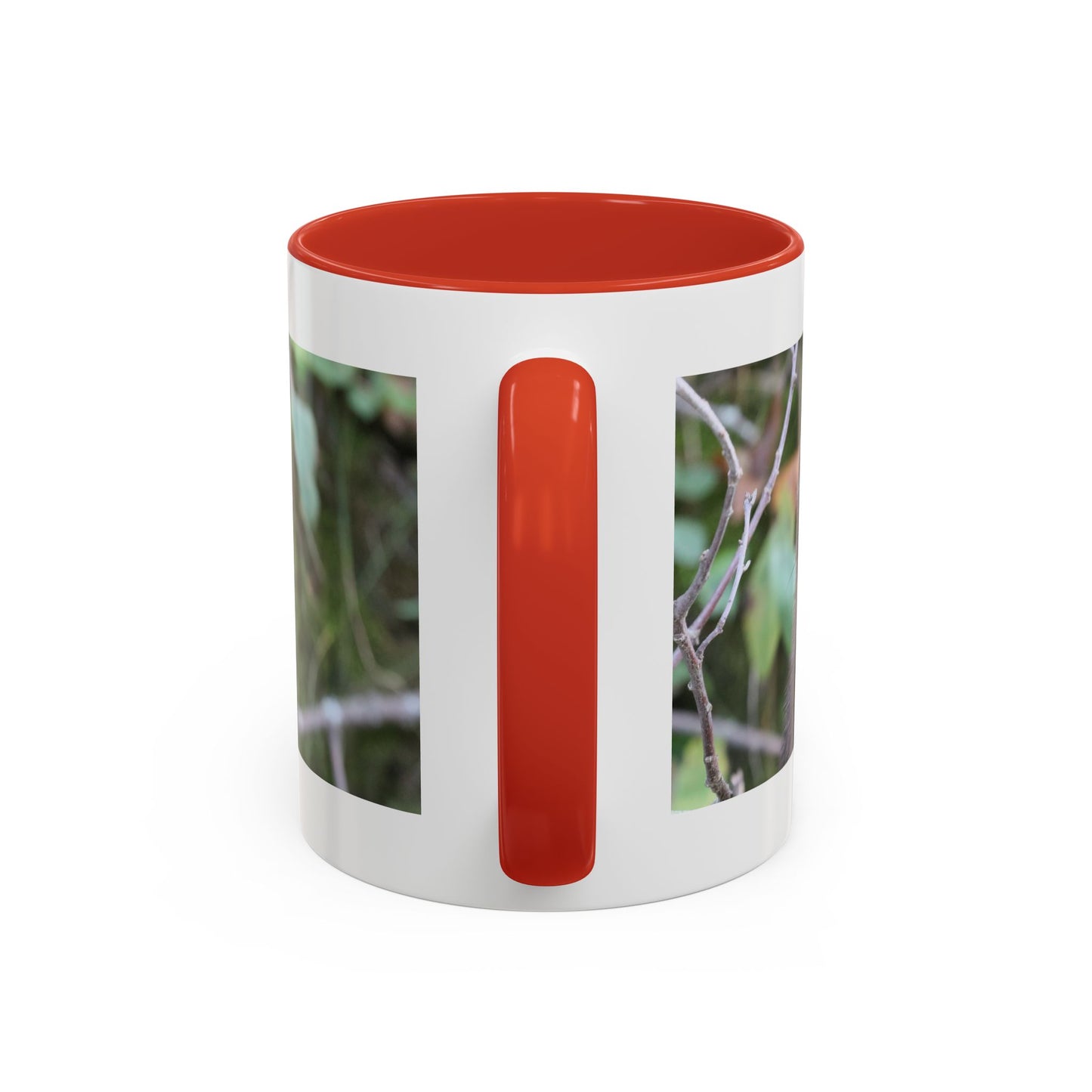 Cute Mink Photo Accent Mug – Wildlife Photography Coffee Cup (11/15 oz)