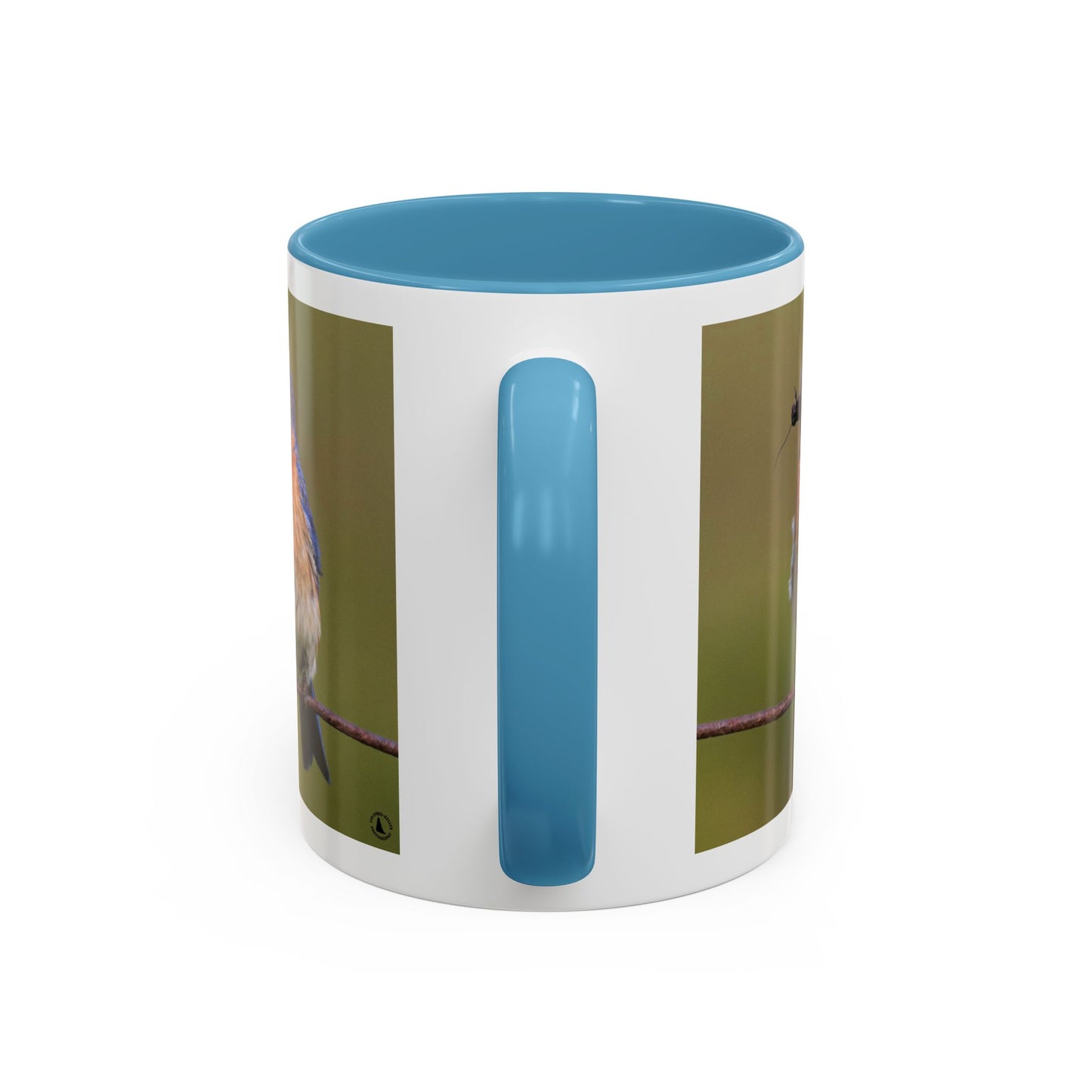 Bluebird Photo Coffee Mug — Eastern Bluebird with Insect Accent Mug (11/15 oz)