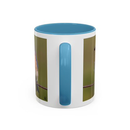Bluebird Photo Coffee Mug — Eastern Bluebird with Insect Accent Mug (11/15 oz)