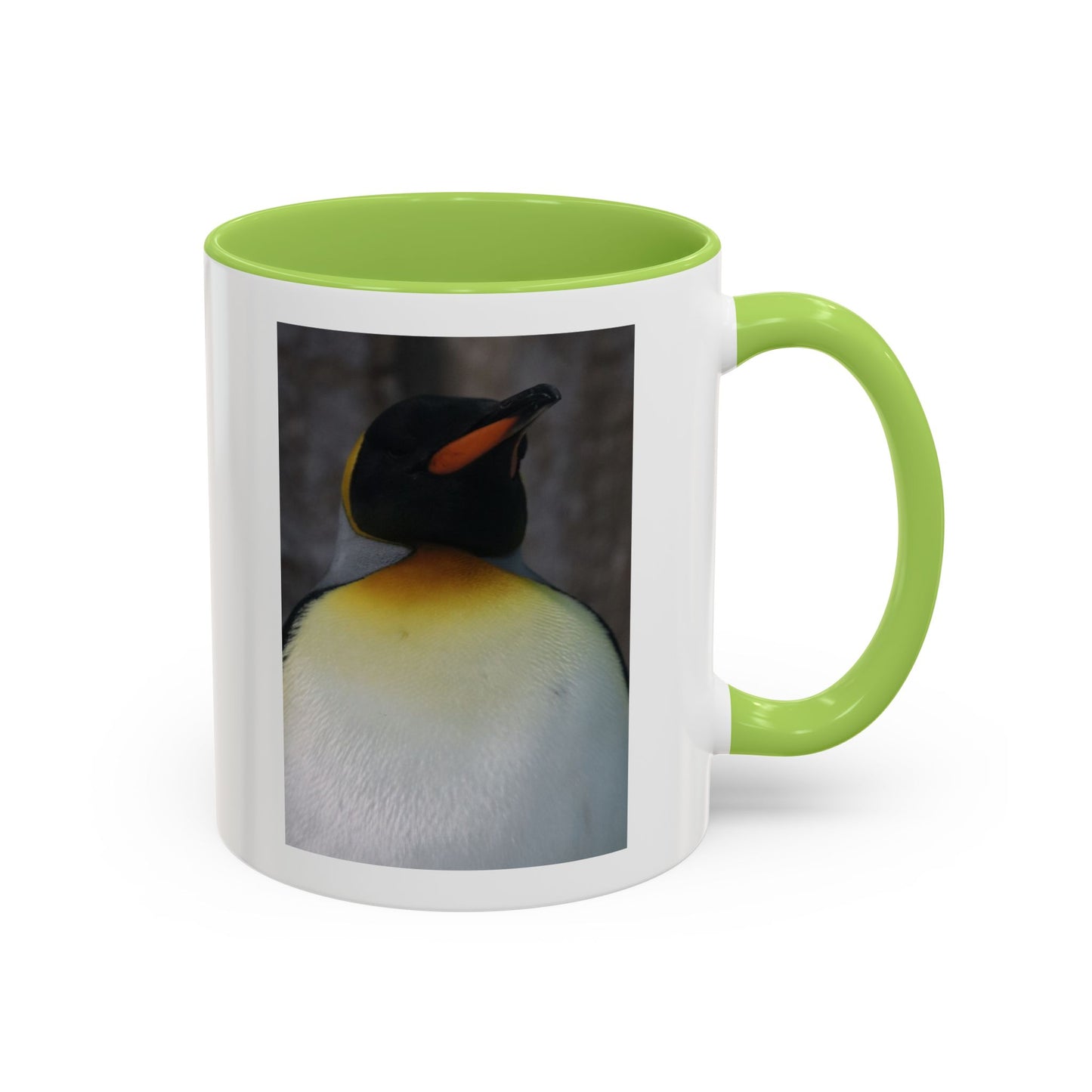 King Penguin Photo Coffee Mug — Cute Wildlife Accent Mug (11/15oz)