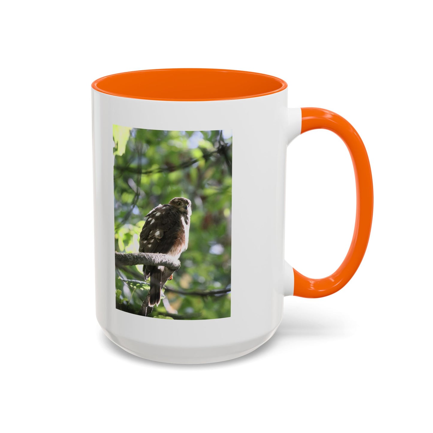 Hawk Perch Accent Coffee Mug (11/15 oz) – Nature Bird Photography