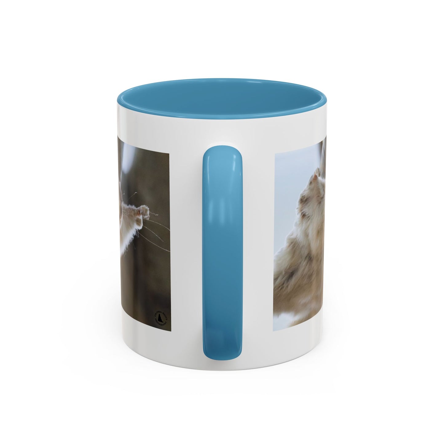 Flying Squirrel Accent Coffee Mug — Cute Wildlife Photo Mug (11/15oz)