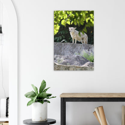 94fe86a0-af21-40d2-a3e7-8810bf15e418