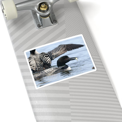 Common Loon Kiss-Cut Sticker — Realistic Waterfowl Photo Decal for Laptops, Water Bottles & Nature Lovers