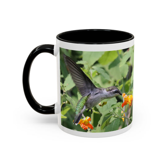 Hummingbird & Orange Blossom Accent Coffee Mug – Nature Wildlife Ceramic Mug