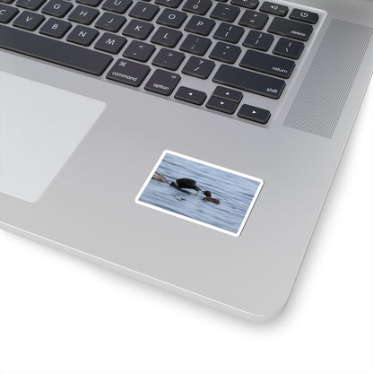 Common Loon & Chick Kiss-Cut Sticker — Nature Wildlife Decal