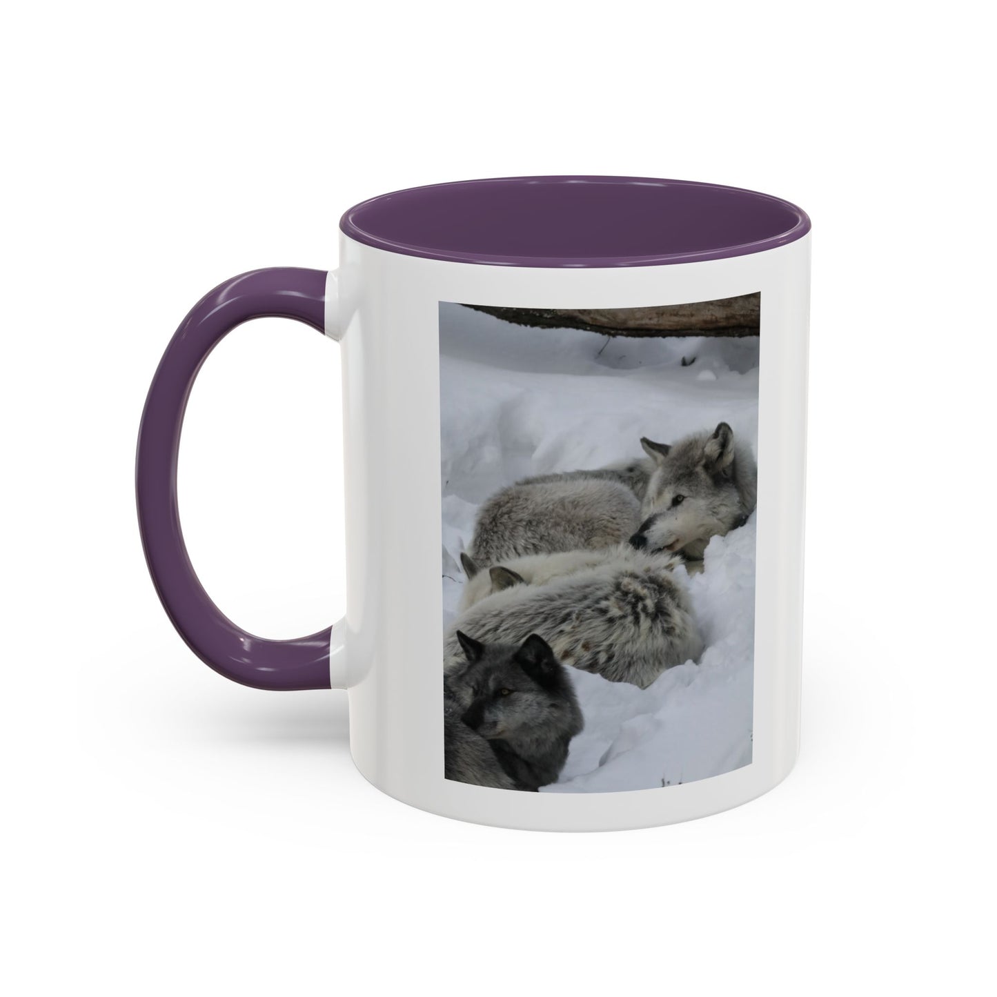 Wolf Pack Coffee Mug – Accent Black Handle 11/15oz, Winter Wildlife Photo
