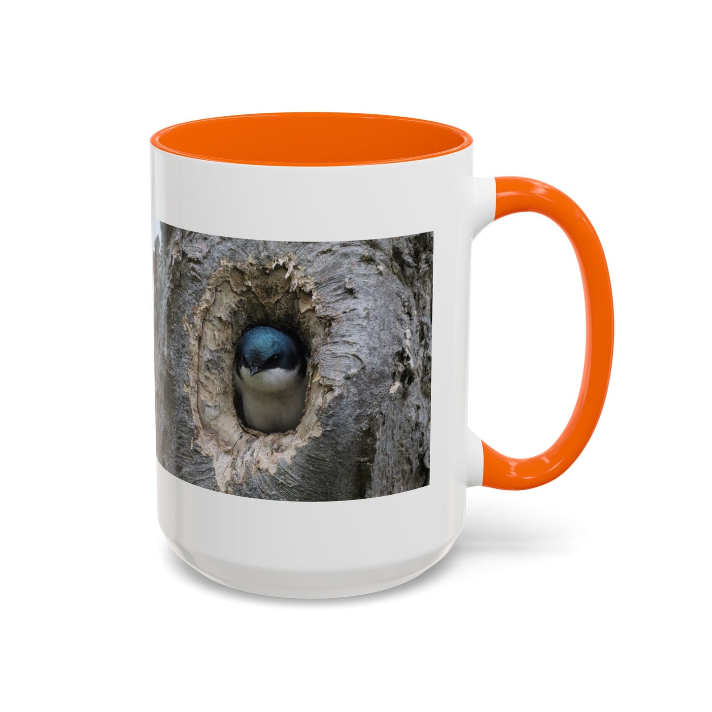 Bluebird in Tree Cavity Accent Coffee Mug — Nature Wildlife Ceramic Mug (11/15oz)