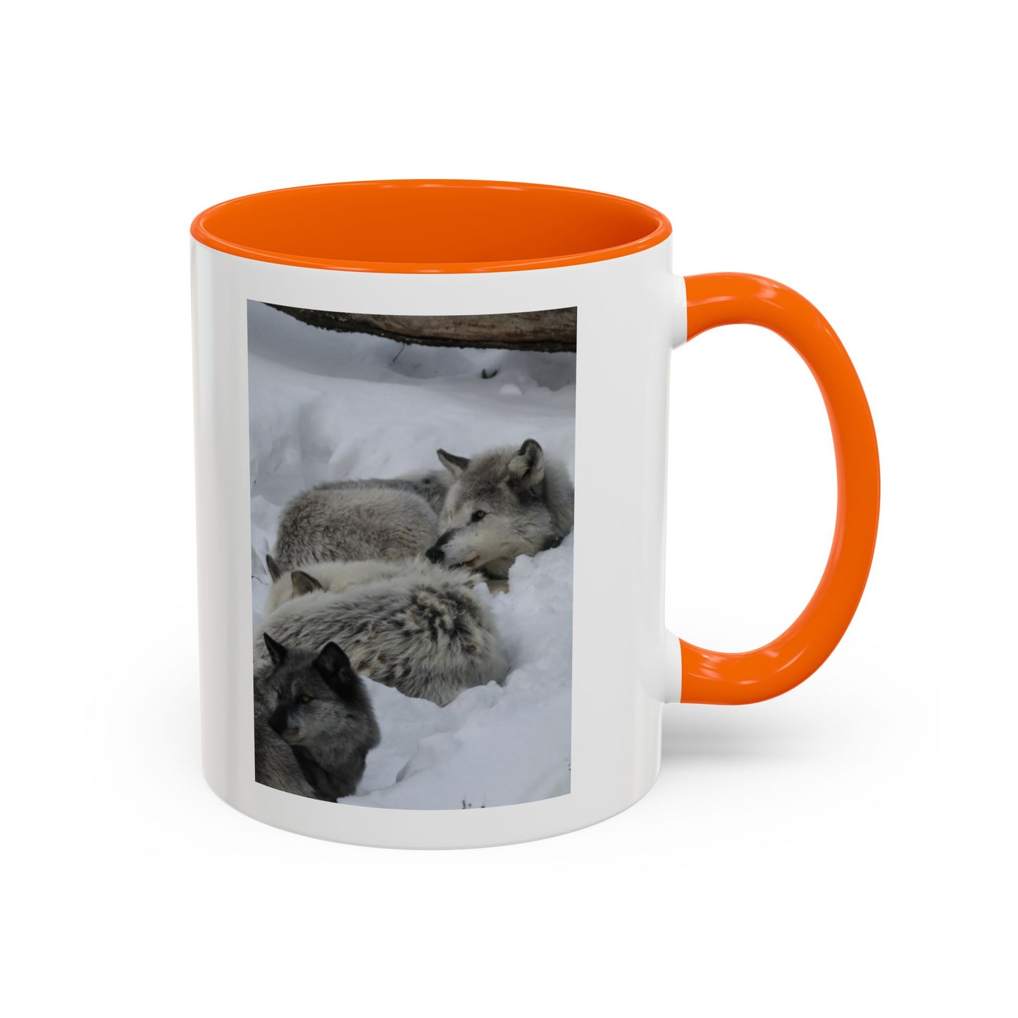 Wolf Pack Coffee Mug – Accent Black Handle 11/15oz, Winter Wildlife Photo