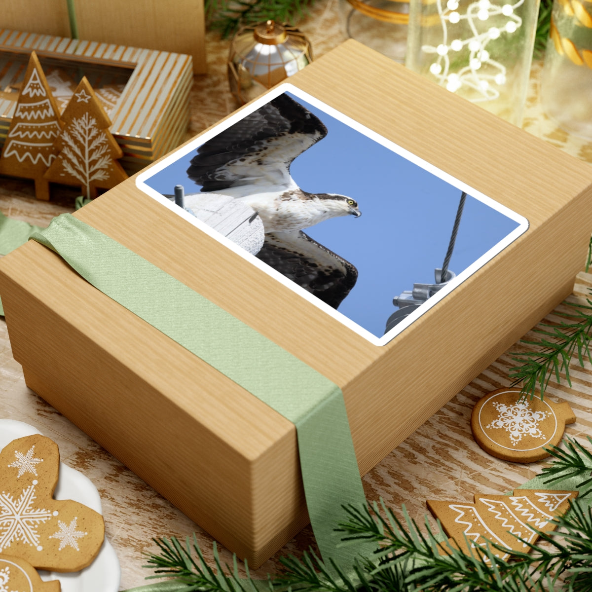 Osprey Photo Sticker — Kiss-Cut Waterproof Bird Decal