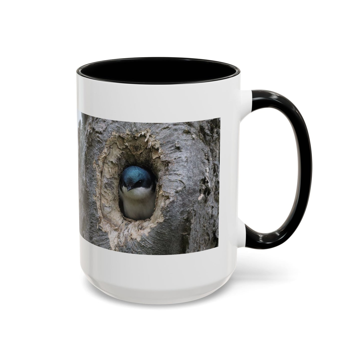 Bluebird in Tree Cavity Accent Coffee Mug — Nature Wildlife Ceramic Mug (11/15oz)