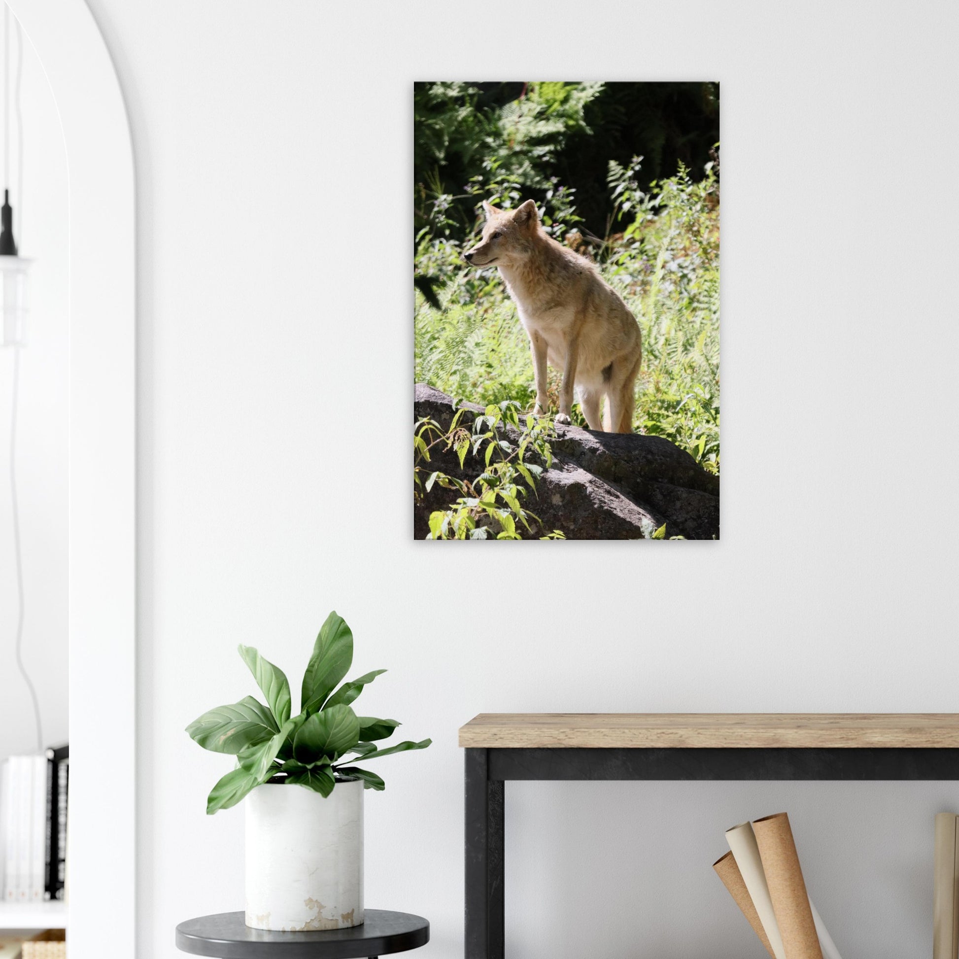 9608c0dd-ba2f-4f84-9509-c5a7a1c09c9a