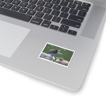 Common Loon Sticker — Kiss-Cut Wildlife Sticker with Loon and Chick, Nature Laptop Decal
