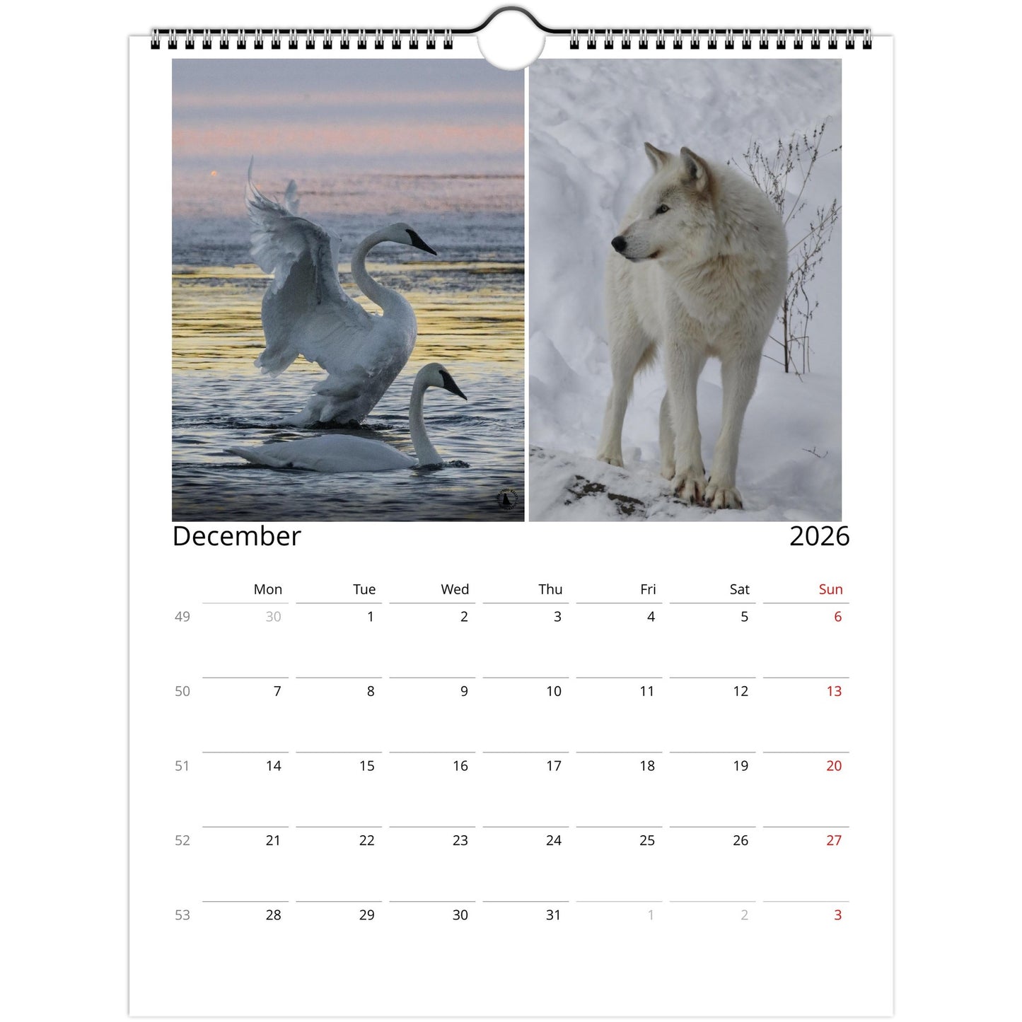 962a3f03-fc89-4738-94c0-ba86efa40aab