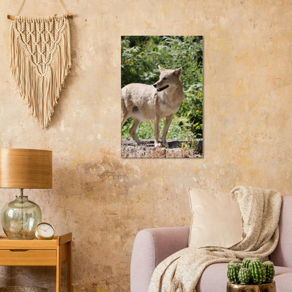 962a7766-a263-4a4a-b641-7b019393f1d8