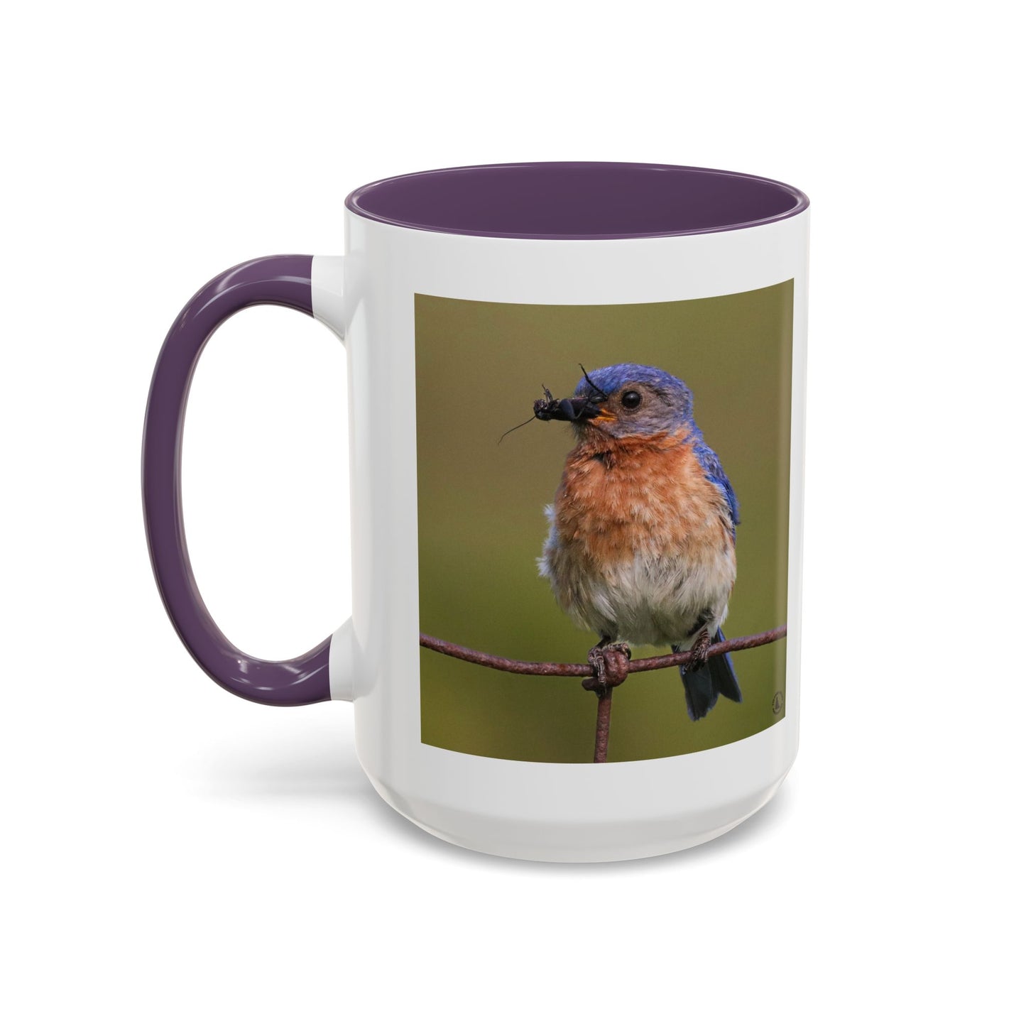 Bluebird Photo Coffee Mug — Eastern Bluebird with Insect Accent Mug (11/15 oz)